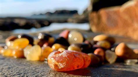 Oregon Agates in Organza Bag