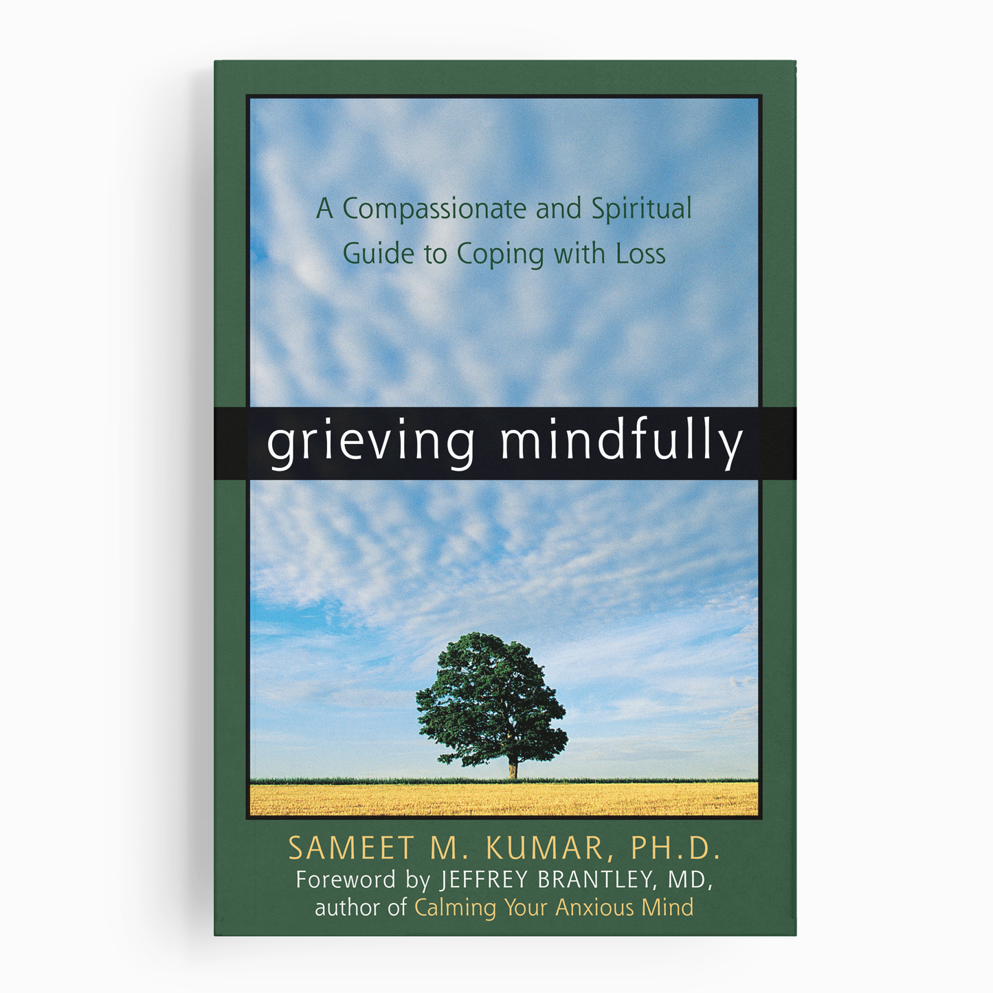 Grieving Mindfully
