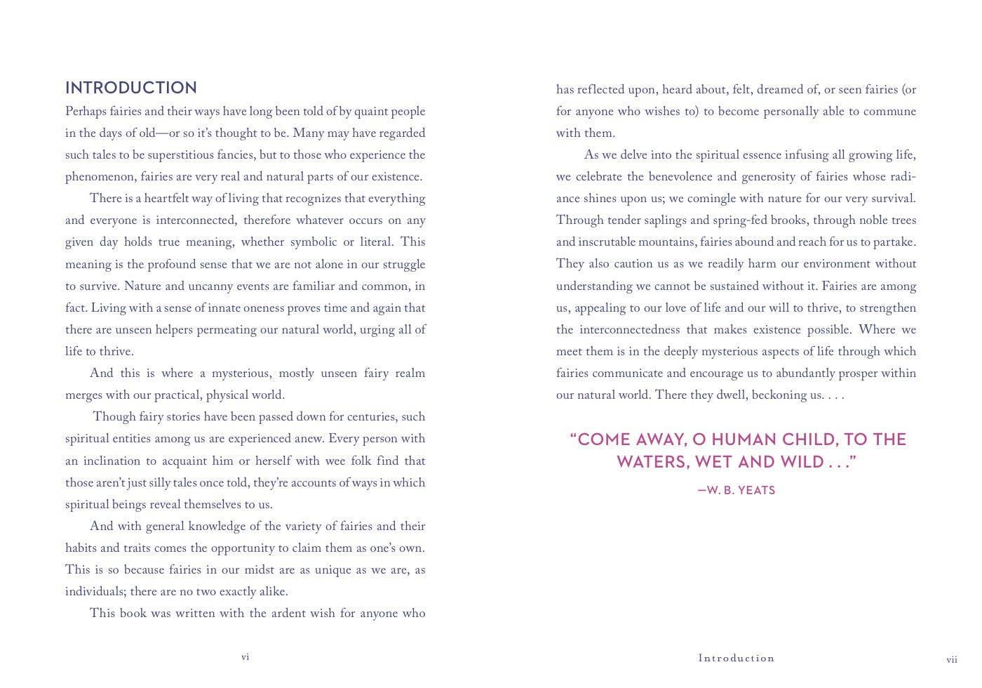 Little Bit of Fairies by Elaine Clayton
