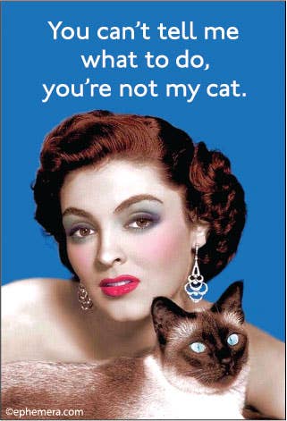 Magnet - Ephemera - You can't tell me what to do, you're not my cat.