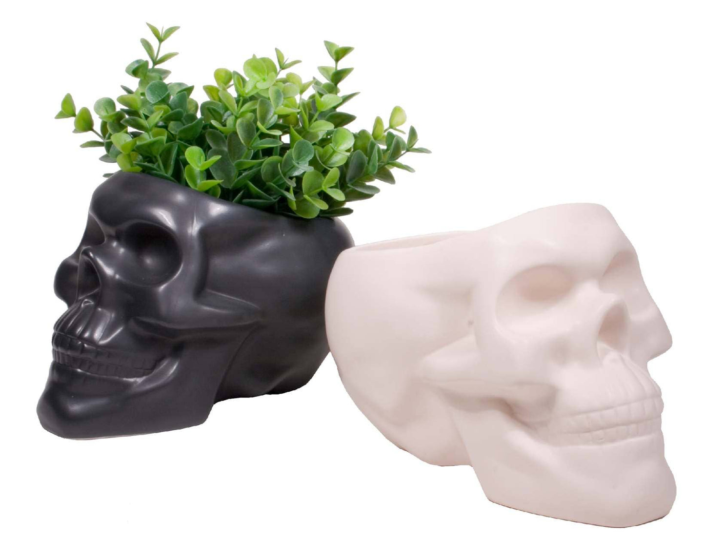 Bone Skull Planter