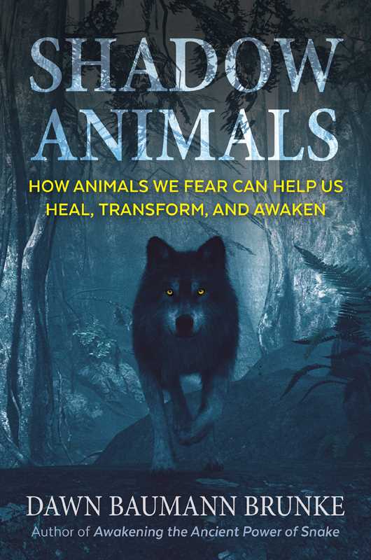 Shadow Animals by Dawn Baumann Brunke: Paperback; 320 pages / English