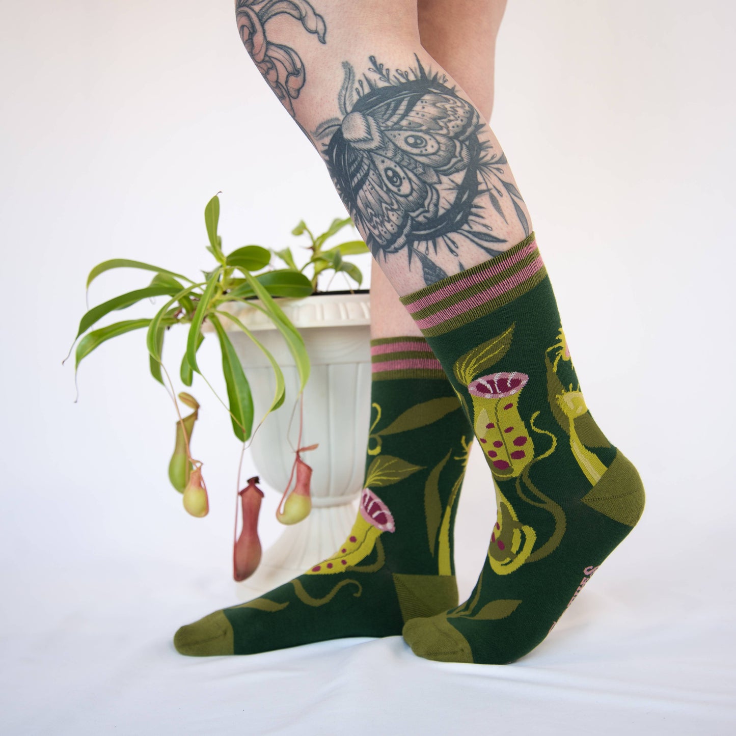 Socks - Foot Clothes - Pitcher Plant Crew Socks