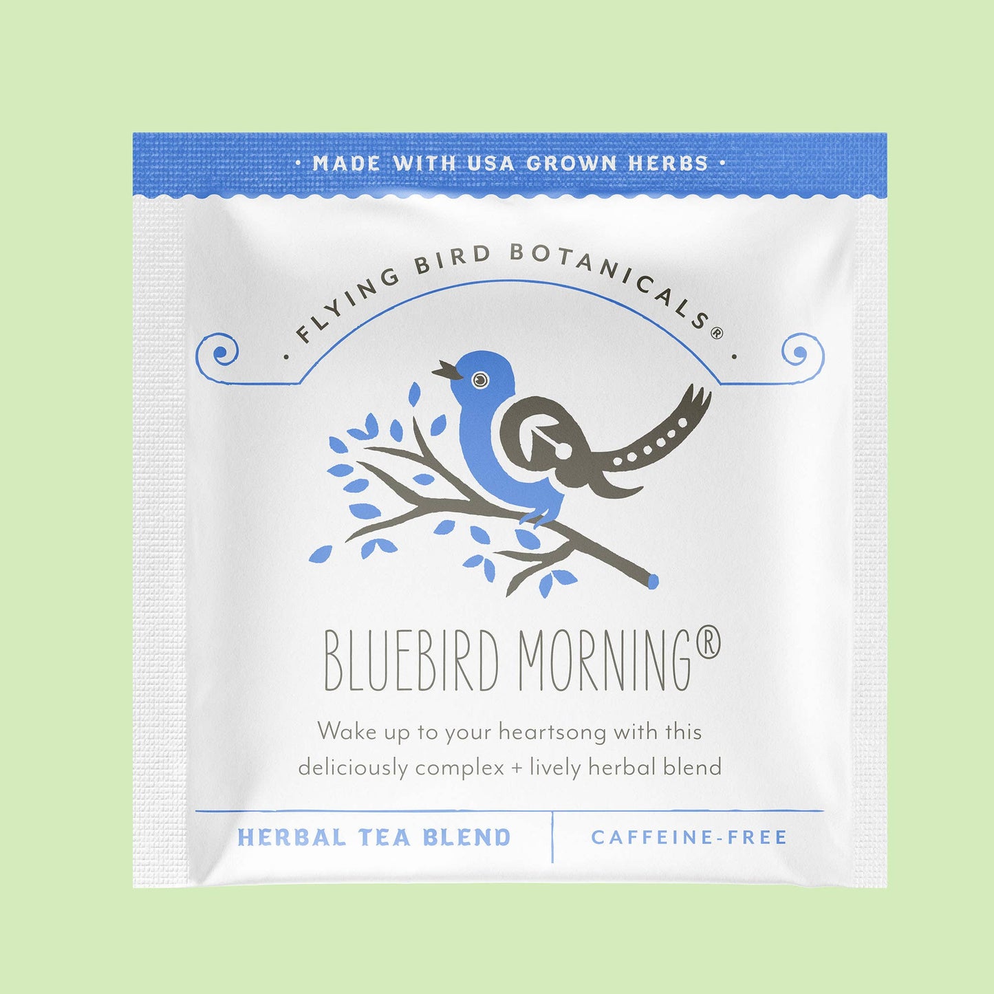 Bluebird Morning - Individual Envelope