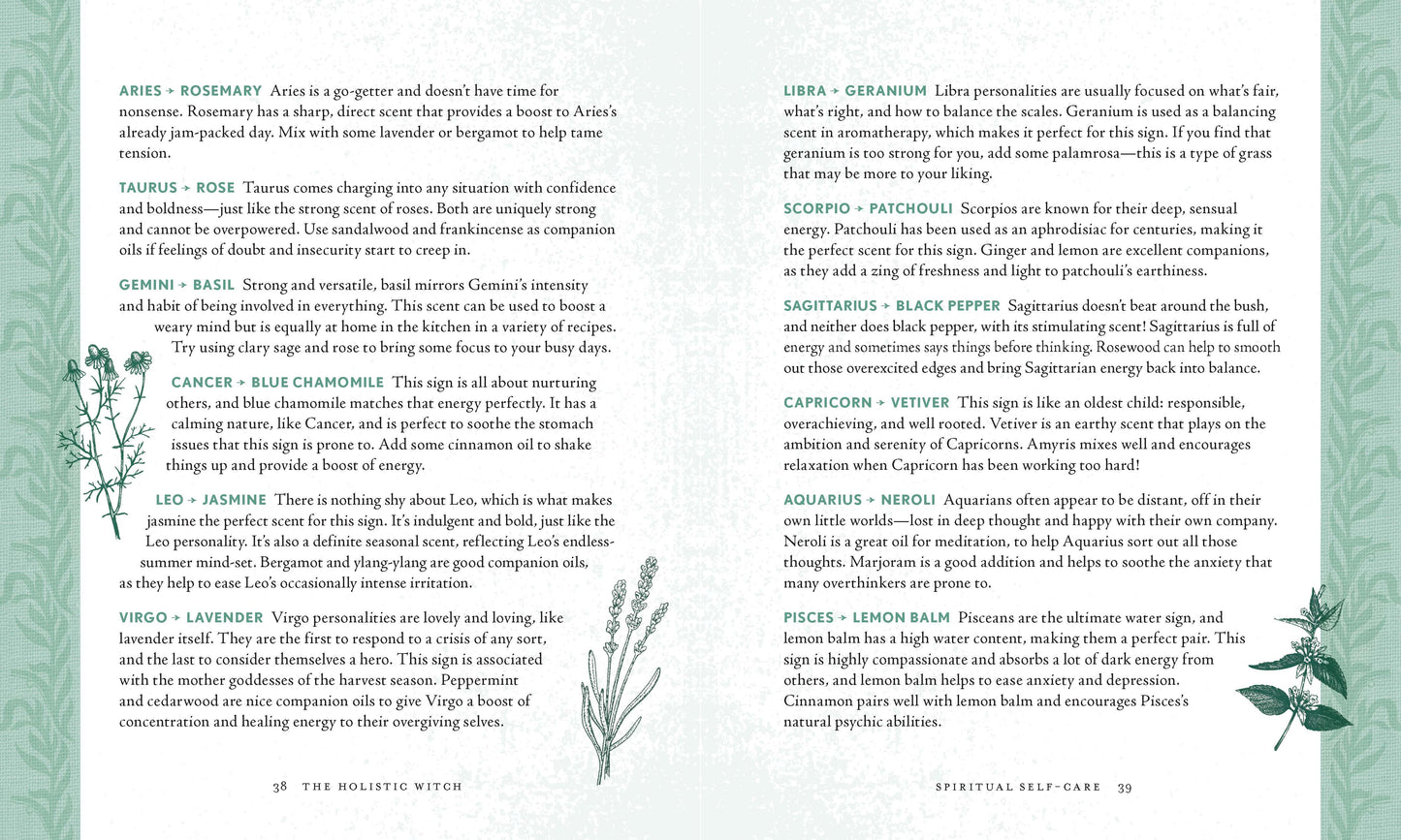Holistic Witch: Hardcover