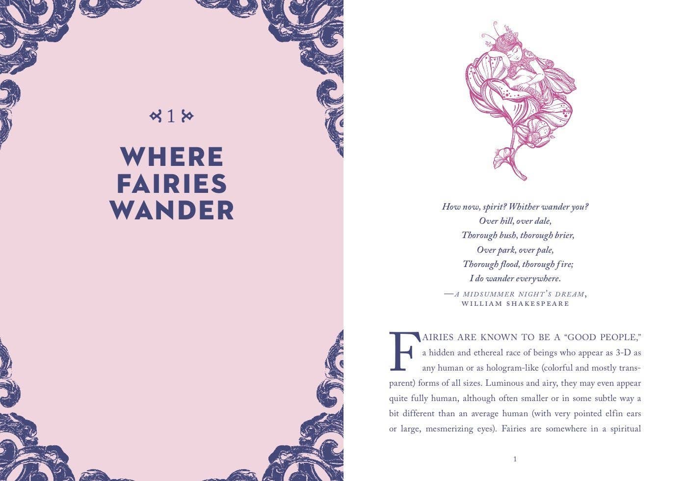Little Bit of Fairies by Elaine Clayton
