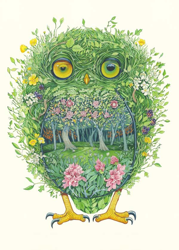 Greeting Card - DM Collection - Owl from Wild Wood