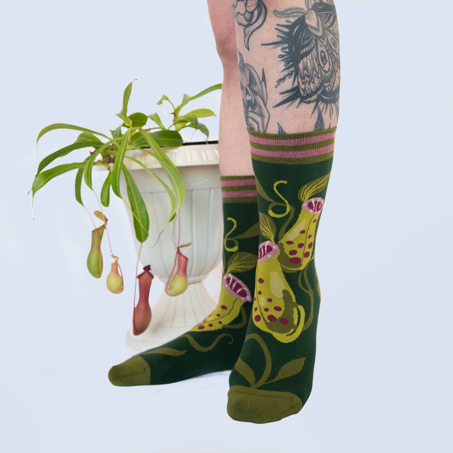 Socks - Foot Clothes - Pitcher Plant Crew Socks