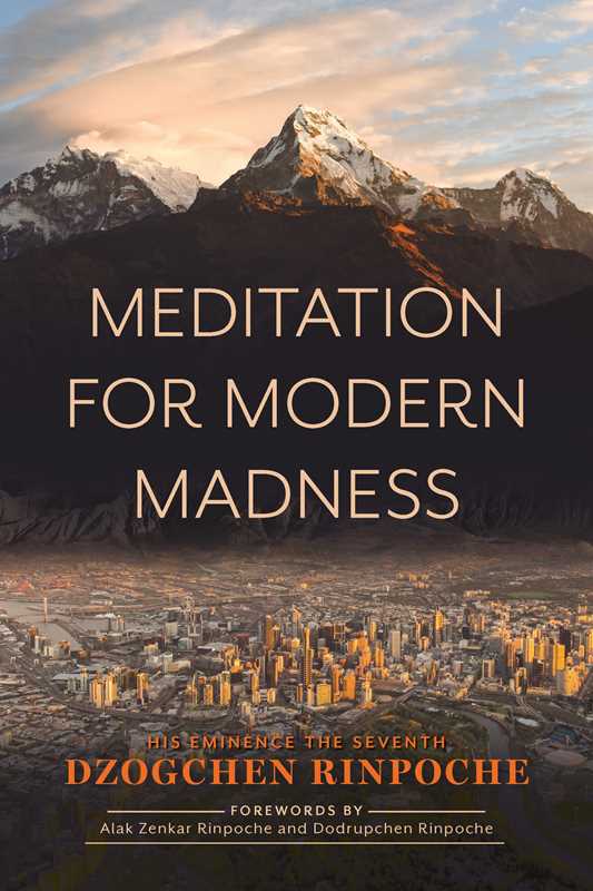 Meditation for Modern Madness by Dzogchen Rinpoche