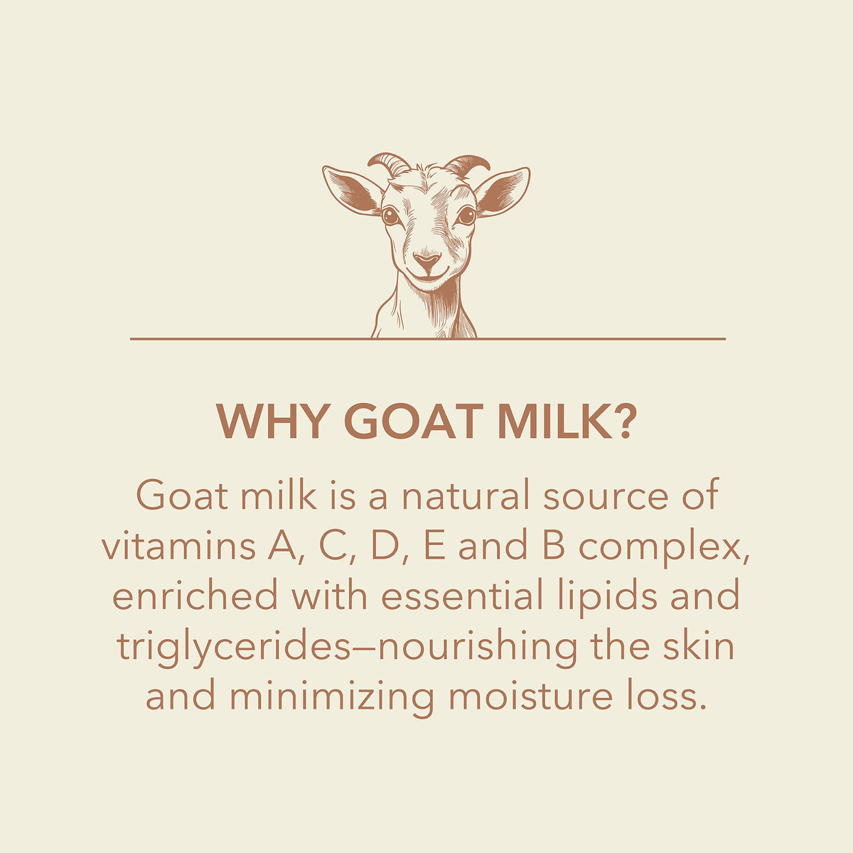Dionis Toasted Vanilla Chai Goat Milk Hand Cream, 1oz (6ct)