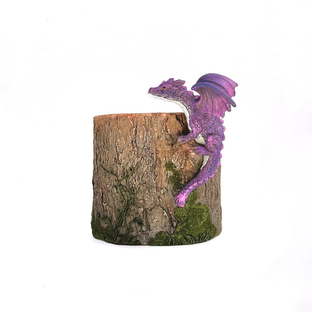 Dragon On Planter