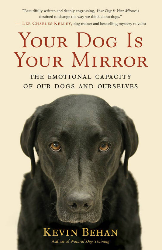 Your Dog is Your Mirror PB