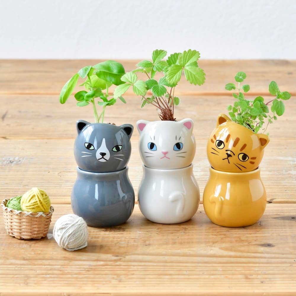 Corocoro Cats - Assorted 3 Styles