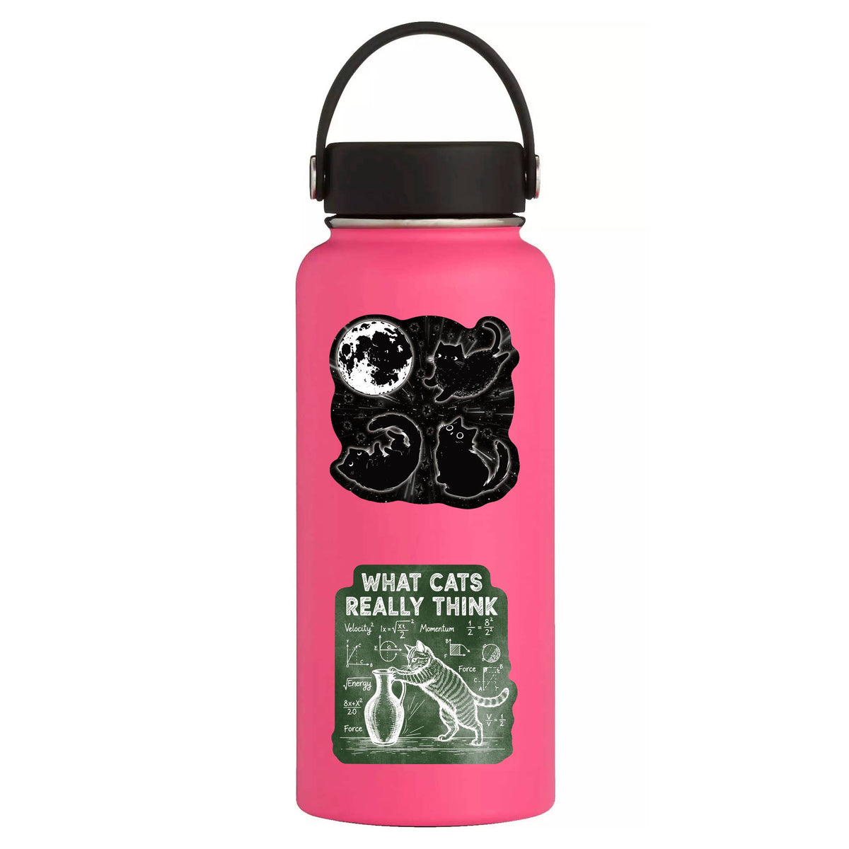 What Cats Really Think Chalkboard High Quality Vinyl Sticker