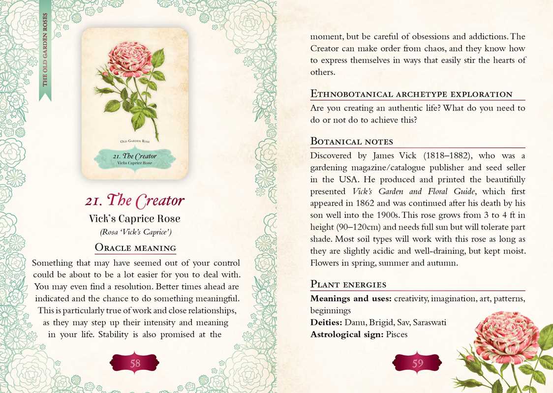 Oracle of the Roses by Cheralyn Darcey