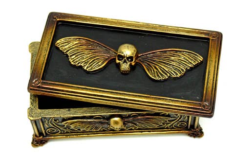 Skull and Moth Box