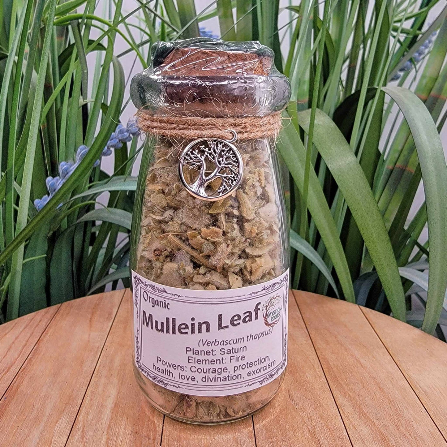 Herb Jar - Mullein Leaf