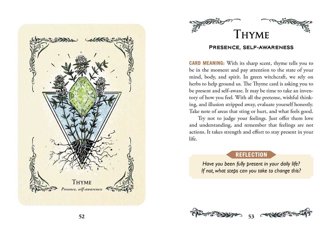 Green Witch's Oracle Deck by Arin Murphy-Hiscock: Flashcards; 100 pages / English