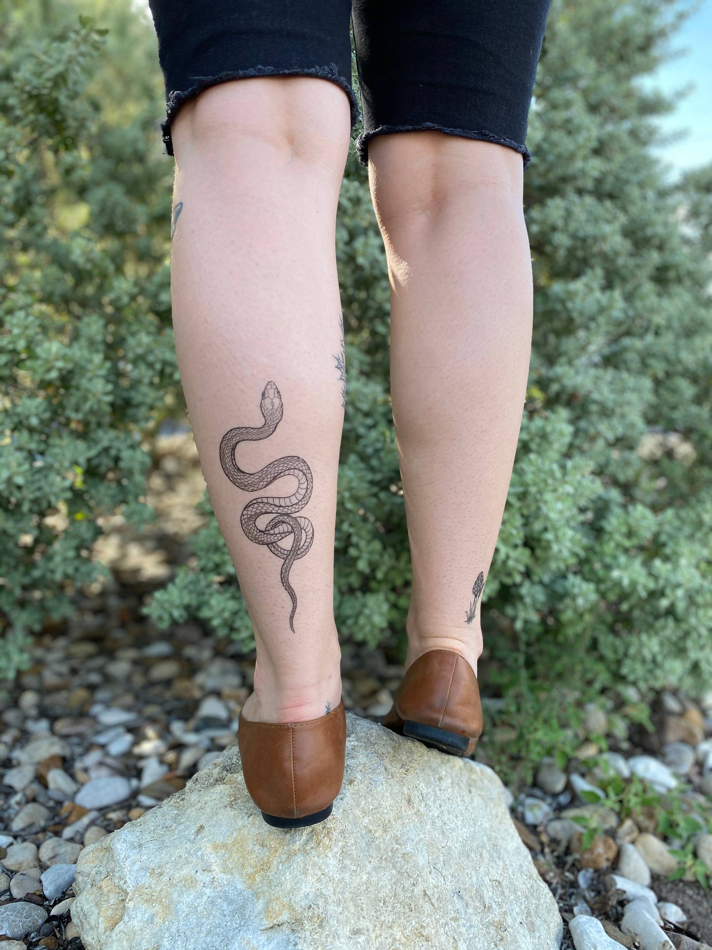 Nature Tats - Garden Snake Temporary Tattoo: 1-Pack