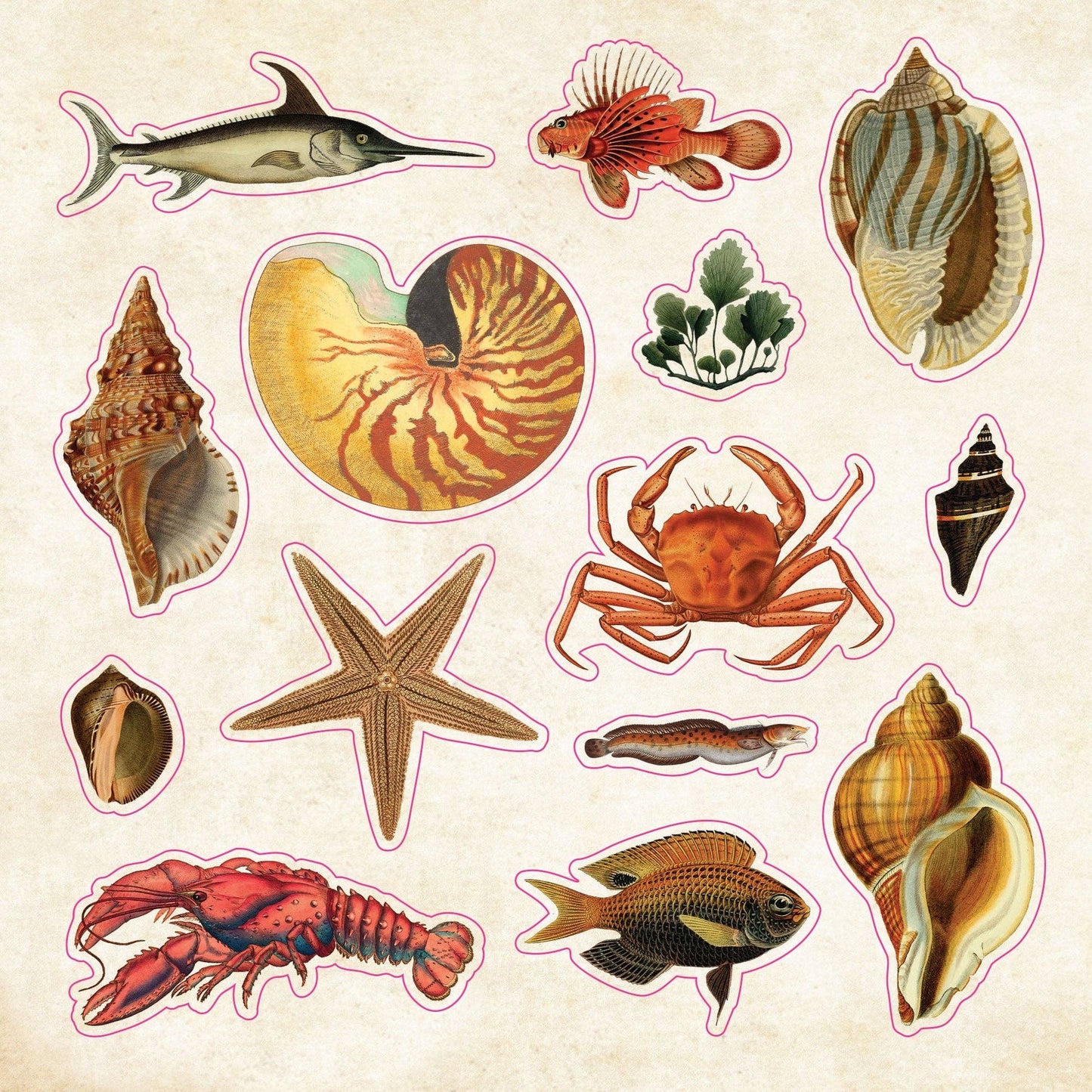 Sticker Book of Curiosities
