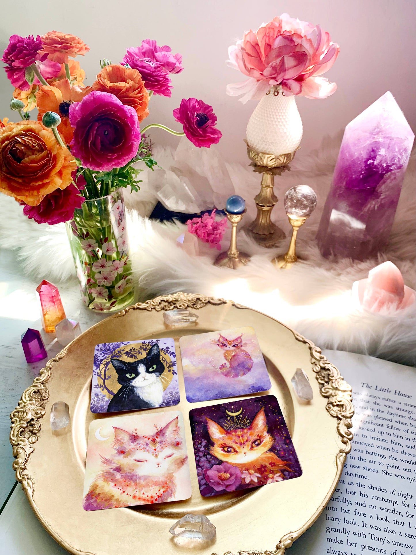 Witch Cats Oracle Deck