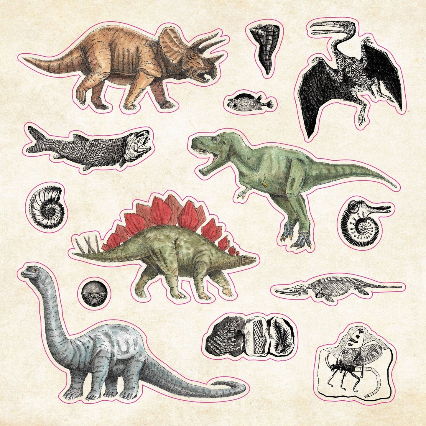 Sticker Book of Curiosities