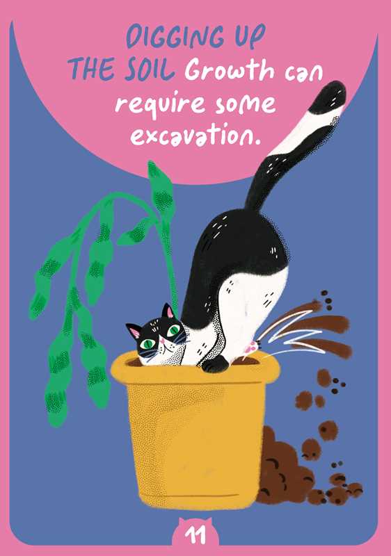 Cat Wisdom Oracle by Albertina Esquisabel