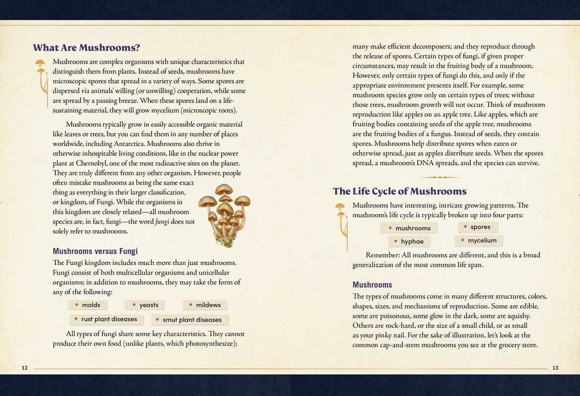 Little Book of Mushrooms by Alex Dorr: Hardcover