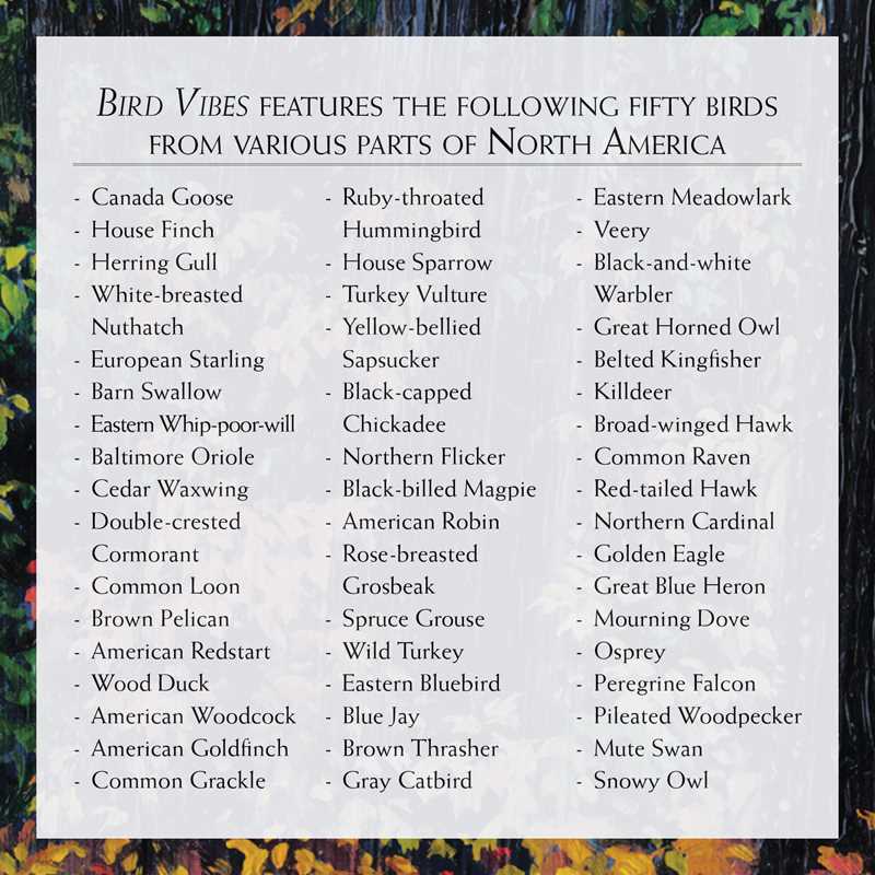 Bird Vibes Meditation Cards by Catherine C. Bastedo: Flashcards; 152 pages / English