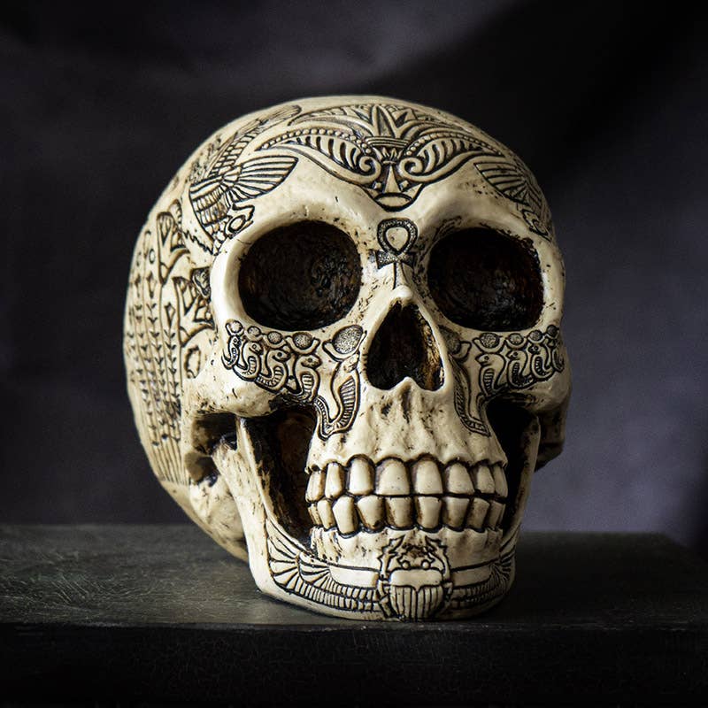 Egyptian Heiroglphic Skull Head