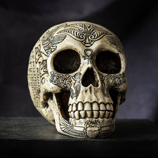 Egyptian Heiroglphic Skull Head