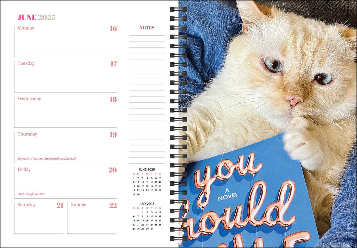 Cats & Books 12-Month 2025 Planner Calendar by Rizzoli Universe: Calendar