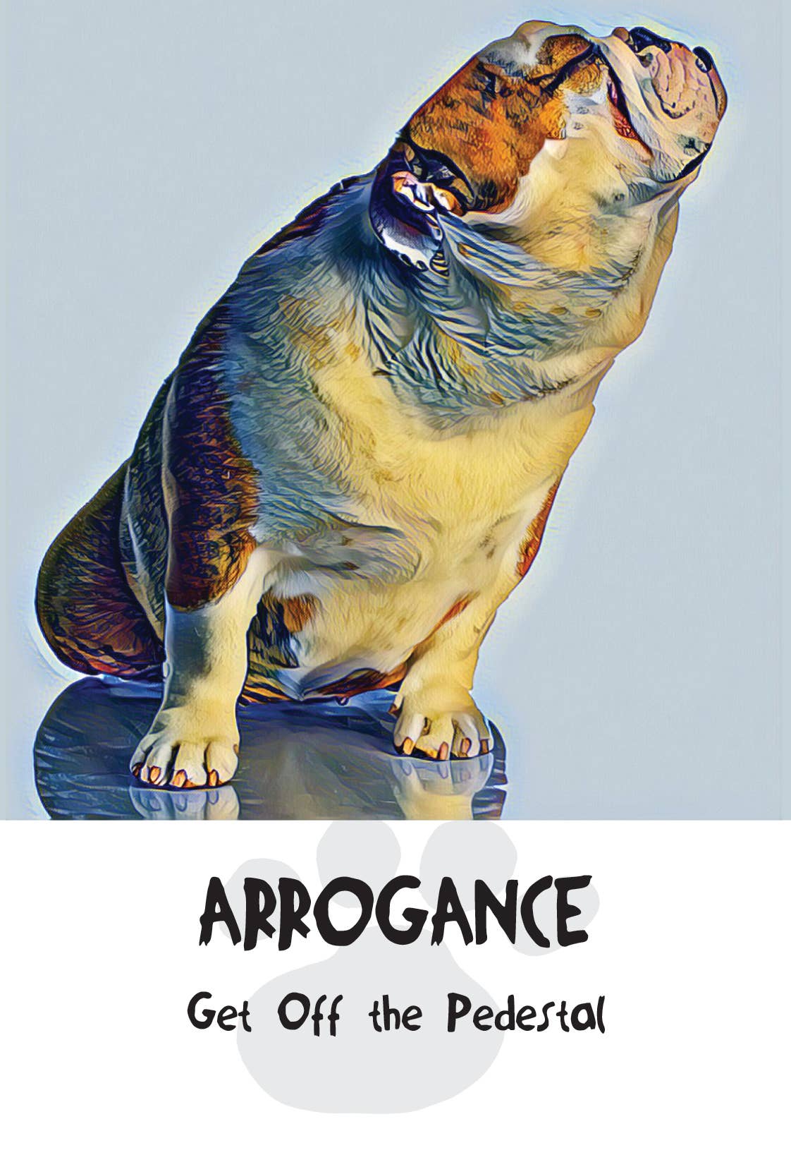 Divine Dog Wisdom Deck (Boxed Set)