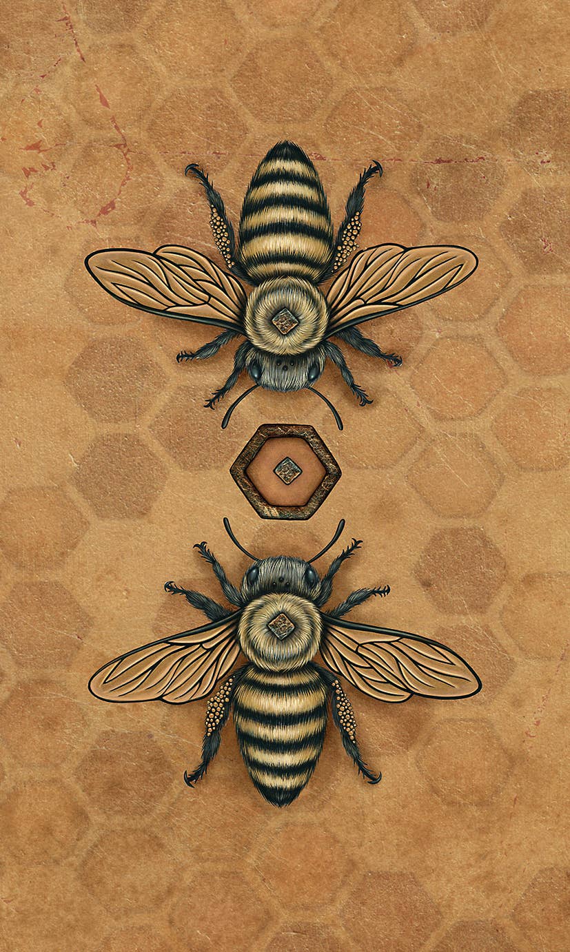 Bee Tarot: English