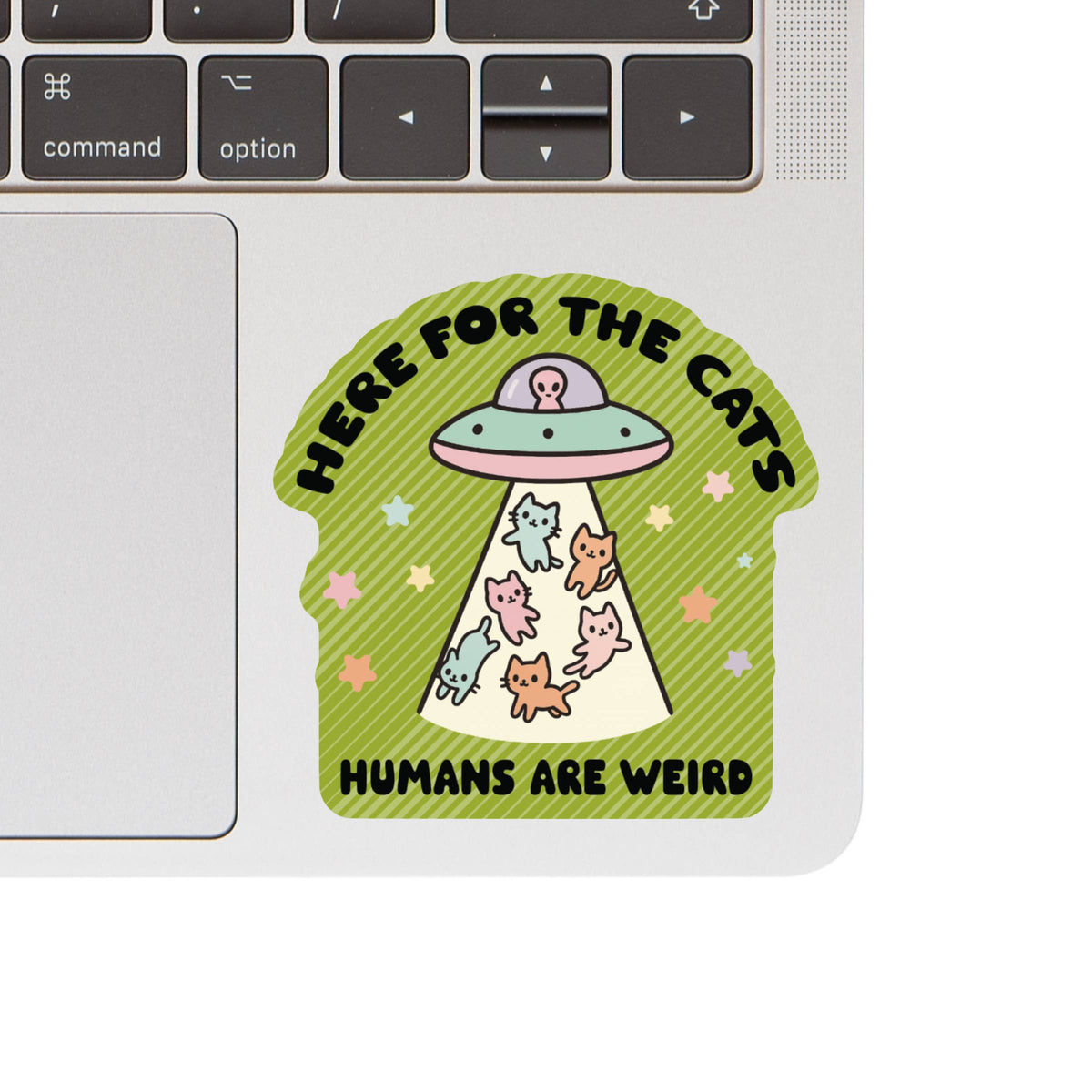 Funny UFO Life Sarcasm Cats High Quality Vinyl Sticker