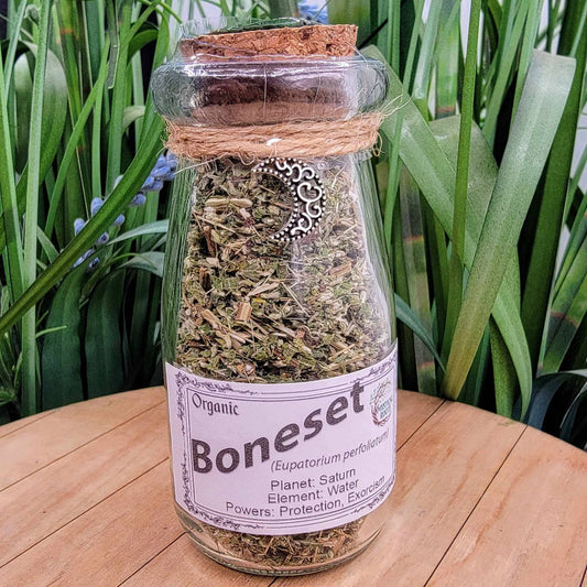 Herb Jar - Boneset