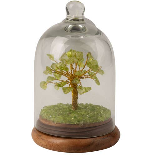 Peridot Wishing Tree in Dome (with Box)