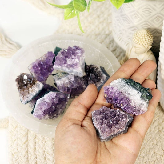 Amethyst Clusters (Pack of 10) - Amethyst Mini Cluster