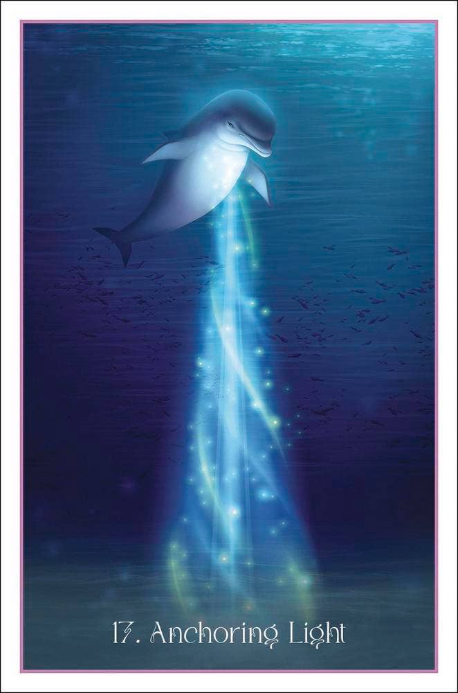 Whispers of the Dolphin Heart