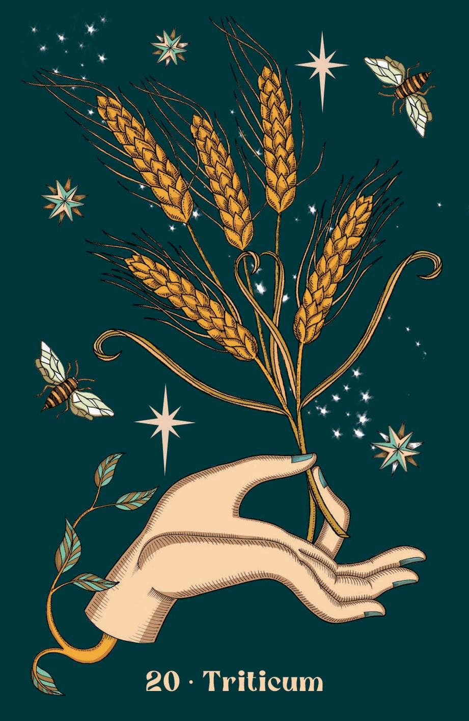 Herbarium Oracle