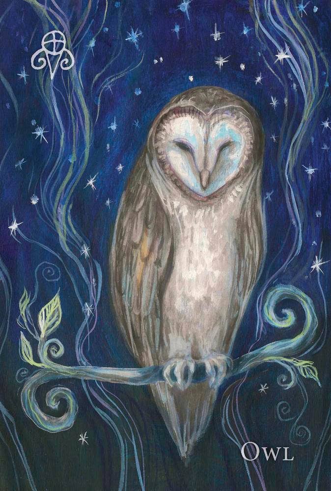 A Witch's Ally Oracle