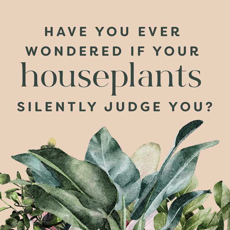 Houseplants and Their Fucked-Up Thoughts by Carlyle Christoff