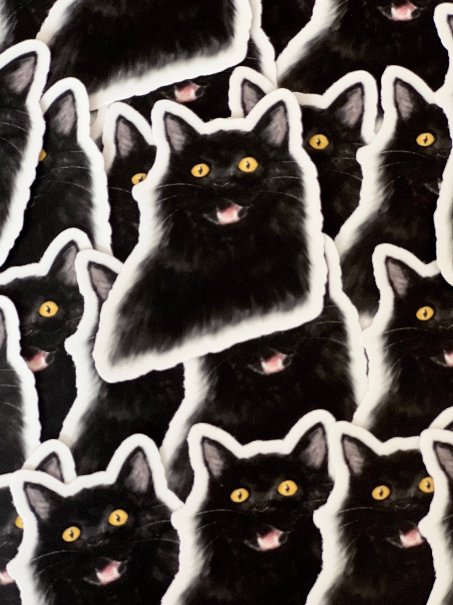 Sticker - KP - Surprised Black Cat