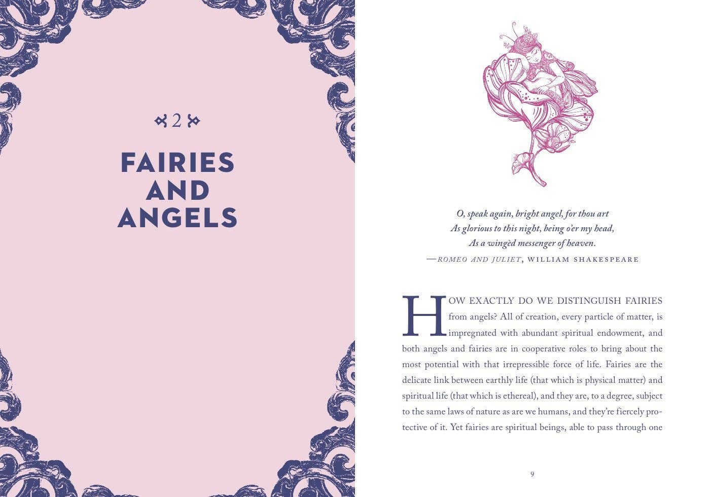 Little Bit of Fairies by Elaine Clayton