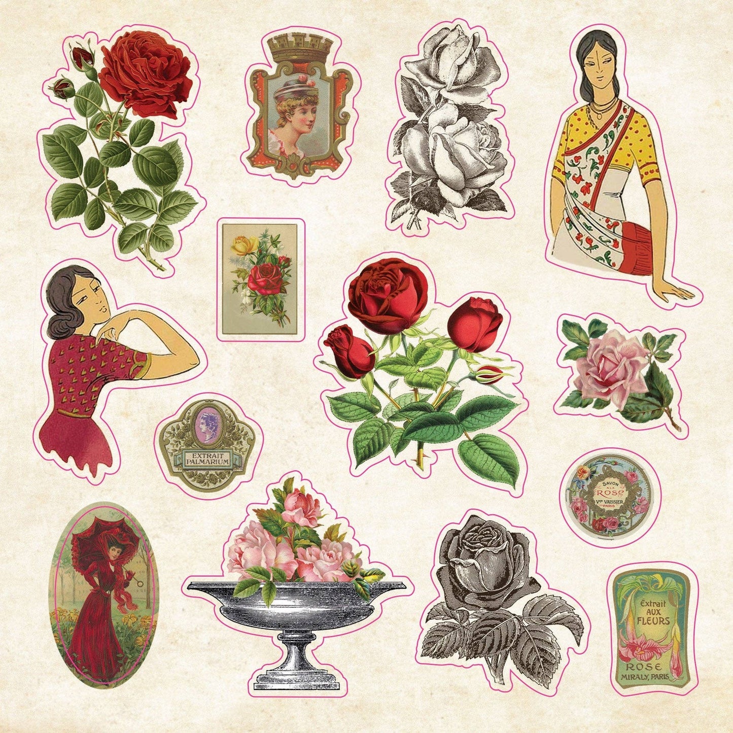 Sticker Book of Curiosities