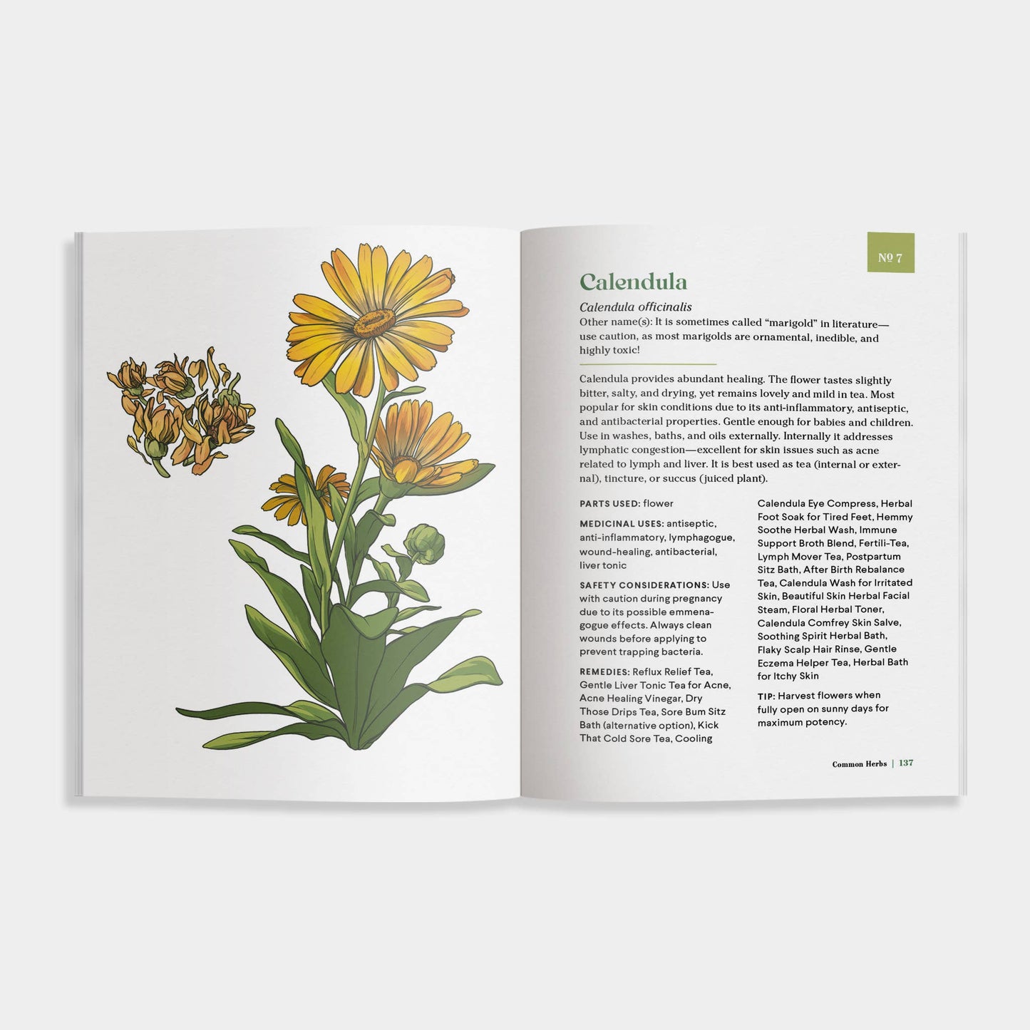 Little Encyclopedia of Herbal Medicine: Herbal Remedies