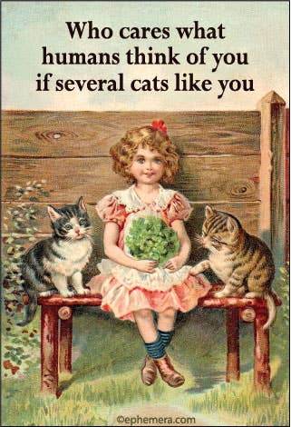 Magnet: Who cares what humans think of you if several cats