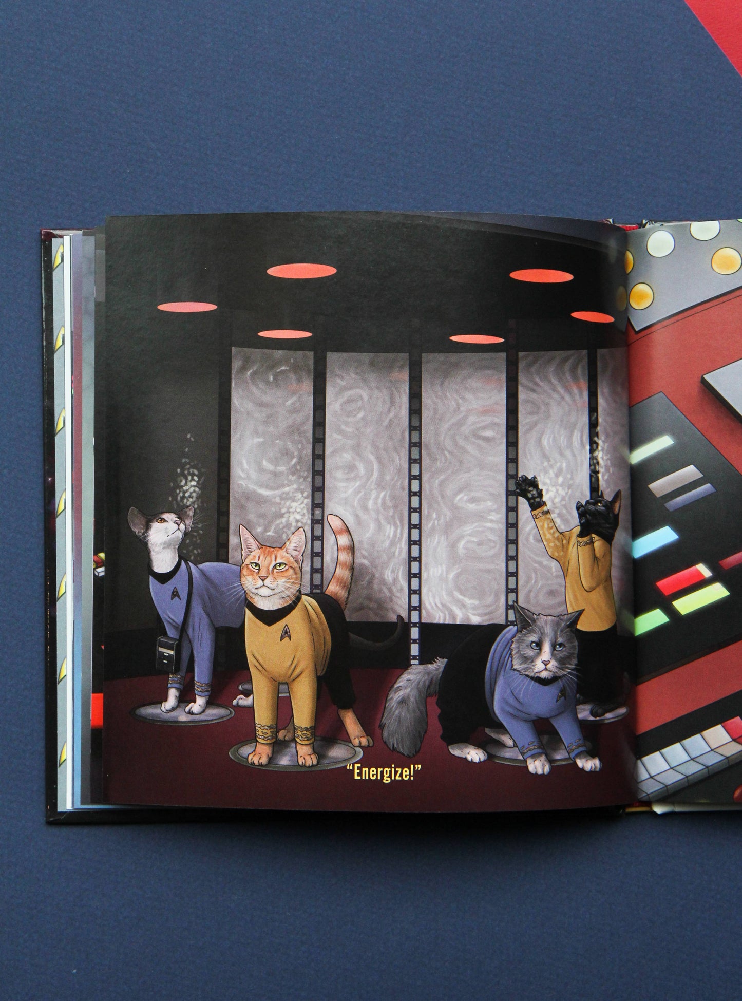 Star Trek Cats