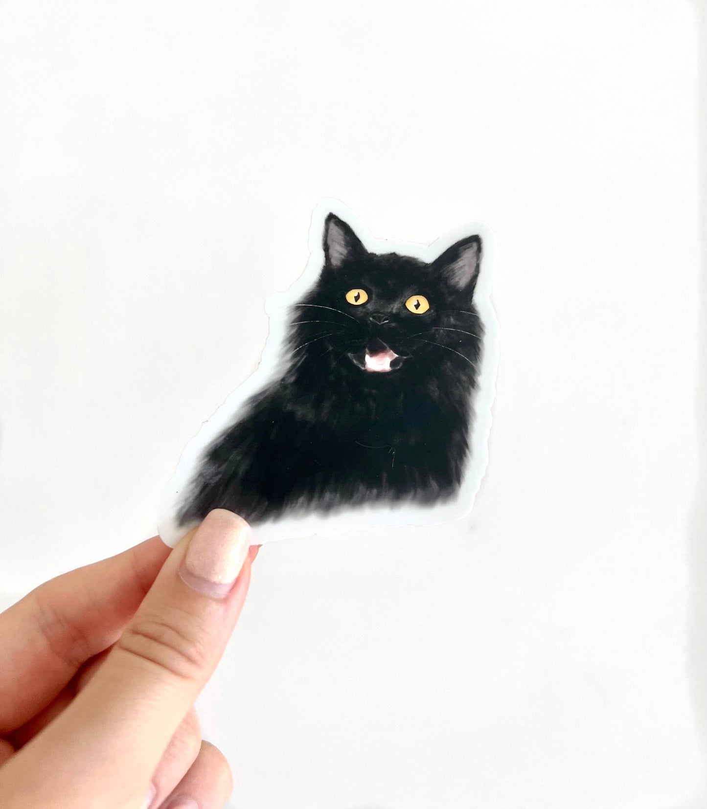 Sticker - KP - Surprised Black Cat