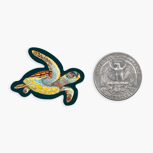 Loggerhead- Mini Sticker